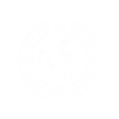 Ronoc Solutions LLC